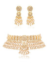 Anshika & Venya Polki Choker Set