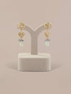 Anika Polki Ear Rings