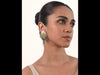 SB495_ModelVideo