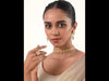 SB431_ModelVideo