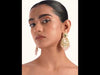 SB375_ModelVideo