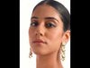 SB299_ModelVideo