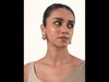 SB490_ModelVideo