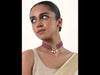 SB463_ModelVideo