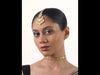 SB317_ModelVideo