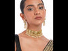SB272A+SB272B_ModelVideo