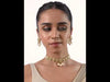 SB542A+SB542B_ModelVideo