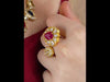 SB459_ModelVideo