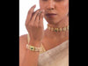 SB578_ModelVideo
